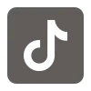 TikTok Icon